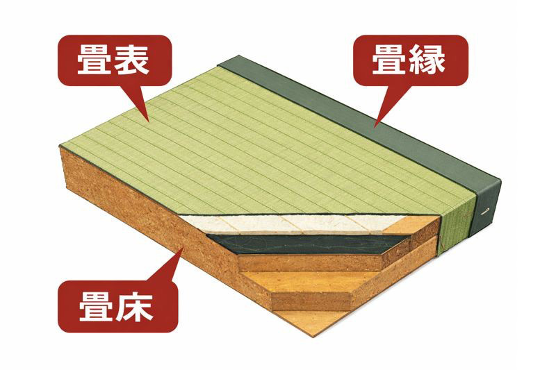 畳断面図